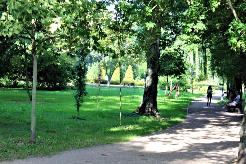 Popołudniowy spacer po łęczyckim parku (ZDJĘCIA) 