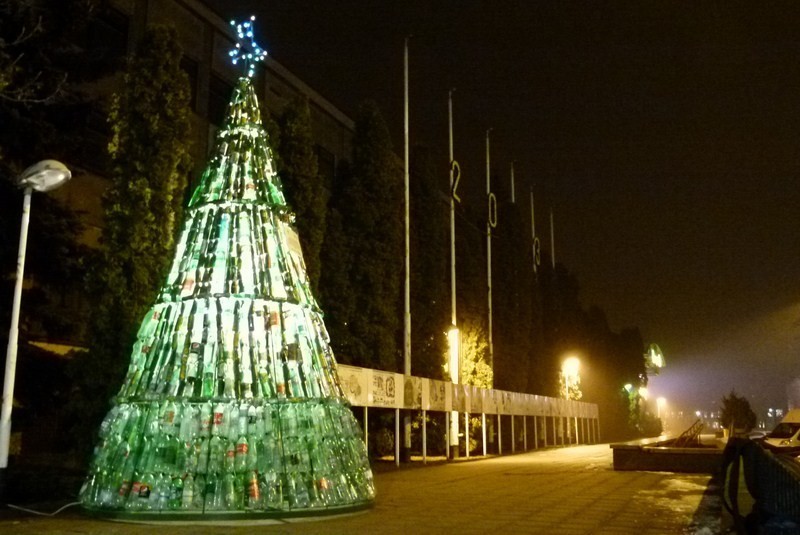 Eko-choinka już stoi (zdjęcia)