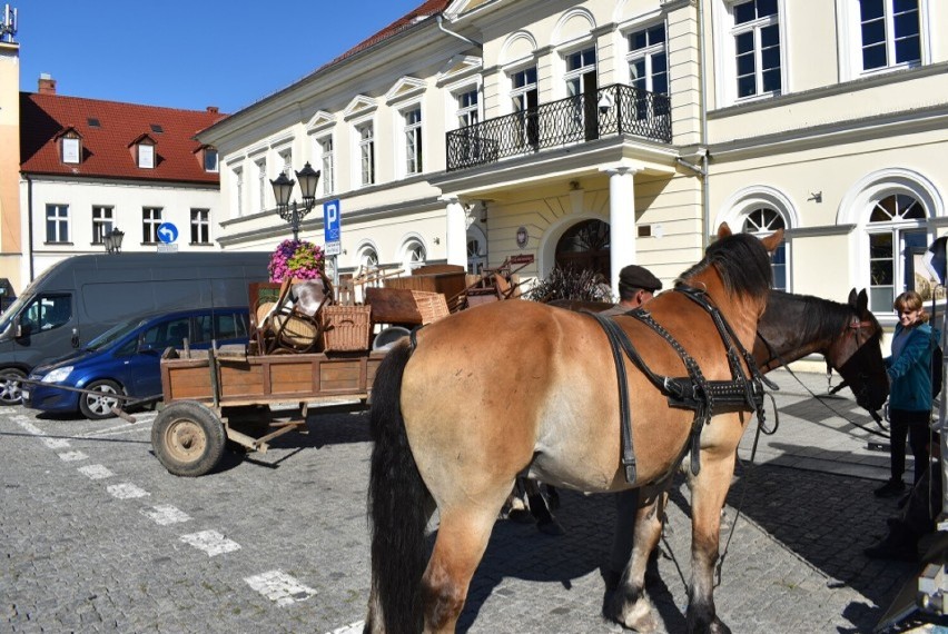 W Wałbrzychu ruszają castingi do filmu "Strefa interesu" w...