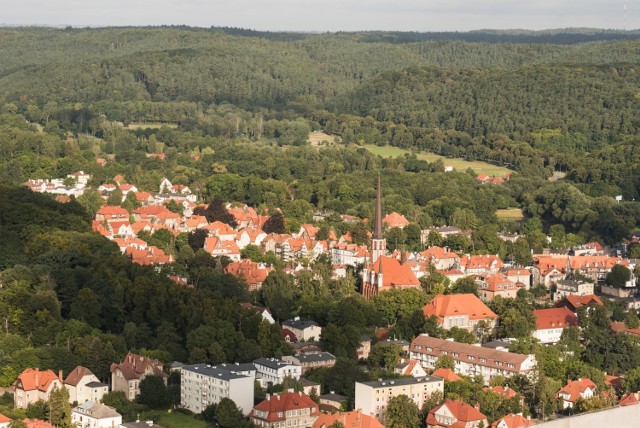 Panorama gdańskiej Oliwy