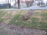 Skatepark w parku Marcinkowskiego - Trawa z rolki się zwija [ZDJĘCIA]