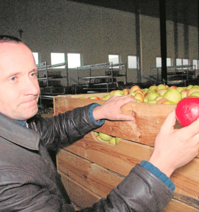 Bogusław Zając, prezes Owocu Łąckiego, tłumaczy, że z myślą o rynku rosyjskim złożono w przechowalniach 6 tys. ton jabłek