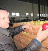 Eksport jabłek Owocu Łąckiego z Sądecczyzny raptownie maleje 