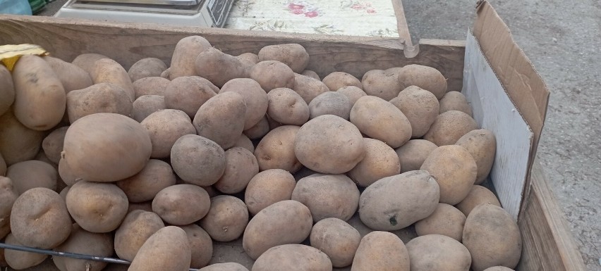 Cenowo kilogram ziemniaków sięgał do 2 złotych