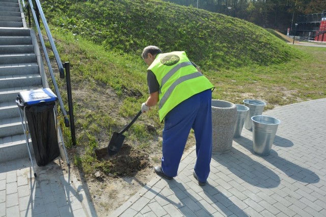 Na terenie parku zamontowano nowe kosze