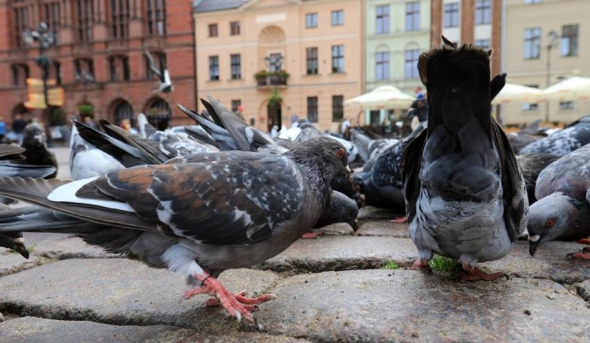 Nie pozostał obojętny świadek bulwersującego zachowania...