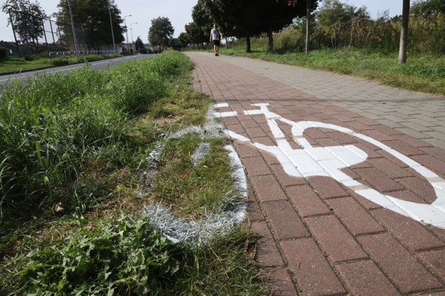 Mają rozmach! Tak się maluje znaki poziome w Legnicy.