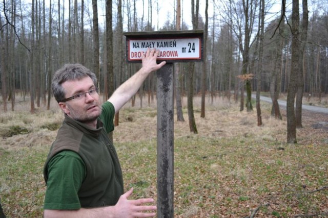 Las w Kobiórze: Jest tutaj kilkusetkilometrowa sieć dróg pożarowych i gospodarczych, ale spacerowicze i rowerzyści też mogą z nich korzystać.