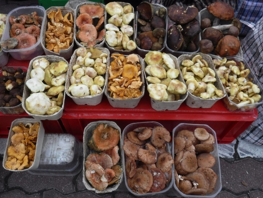 Ogromny wybór świeżych grzybów na radomskim targowisku...