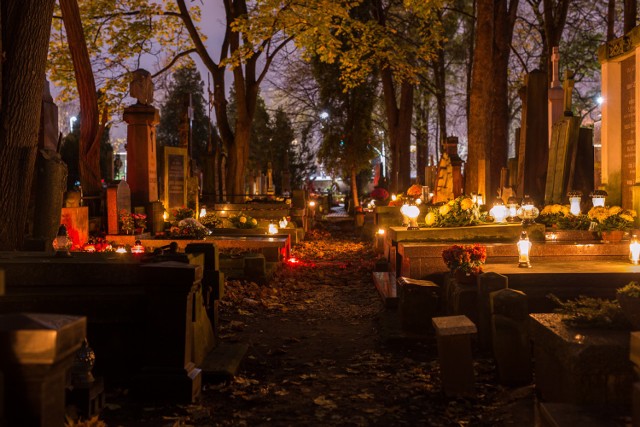 Stare Powązki. Wirtualny, wieczorny spacer w świetle świeczek [ZDJĘCIA]