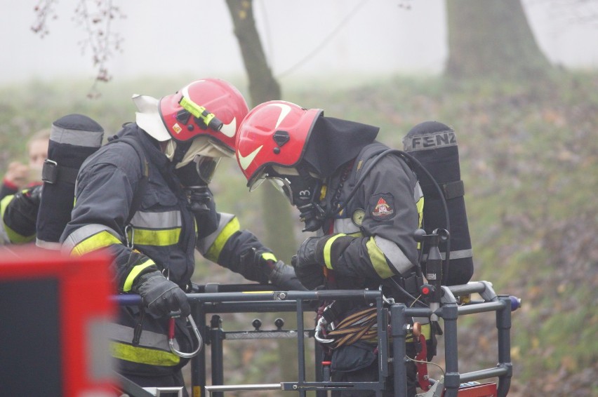 Strażacy i studenci PWSZ w Kaliszu ćwiczyli na wypadek...