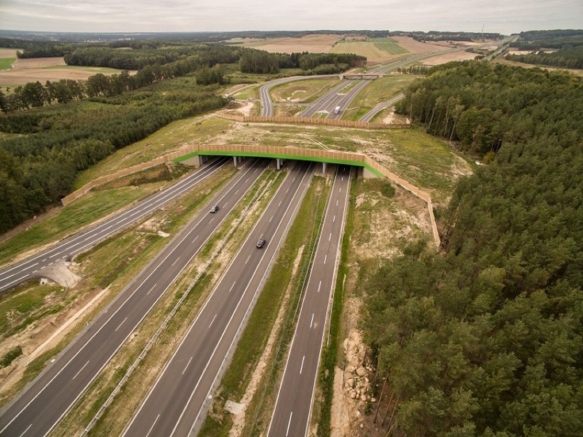 Przejście dla zwierząt nad drogą S3, na odcinku Nowa Sól -...