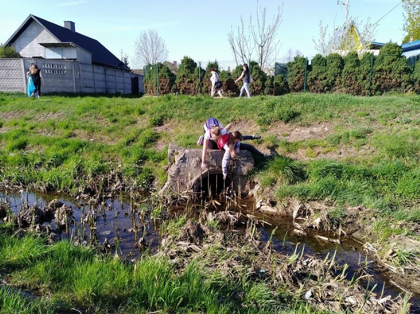 Mieszkańcy osiedla Pułanki w Ostrowcu sami posprzątali łąki, które wykorzystują do spacerów