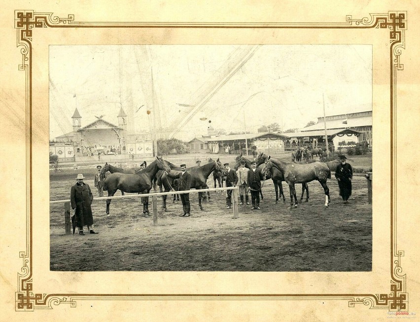 Wystawa Rolno - Przemysłowa w 1899 w Starym Ogrodzie, na...