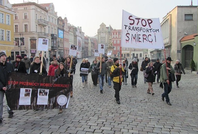 Manifestacja "STOP transportom śmierci" w Poznaniu