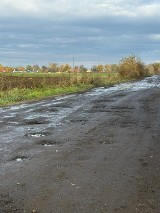 Trwa przebudowa DK 22 w gminie Miłoradz. Kierowcy skarżą się na wahadło przed mostem na Wiśle i na skrót, który jest jak... "autostrada"