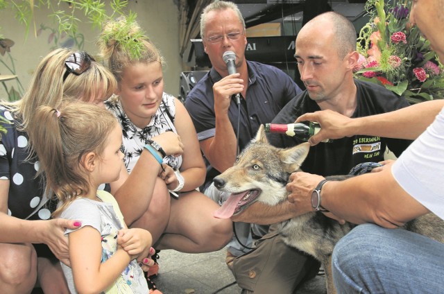 Pani Magdalena razem z córkami Julią i Nikolą odwiedziły w sierpniu Zoo w Eberswalde i nadały imię wilczycy