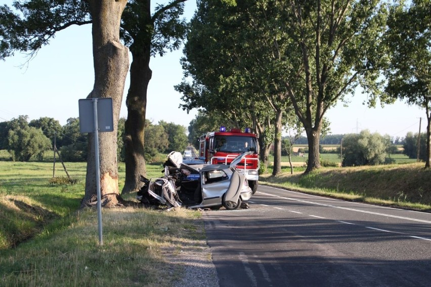 W Chełmiczkach pod Kruszwicą doszło do śmiertelnego wypadku [zdjęcia]