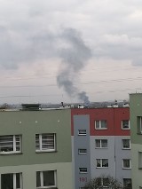 Pożar opon w Bytomiu. Widać kłęby czarnego dymu nad Łagiewnikami 