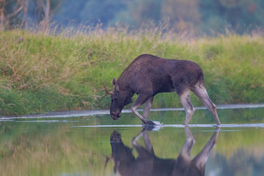 Tak wygląda Brodnicki Park Krajobrazowy. Zobaczcie te zdjęcia i koniecznie odwiedźcie