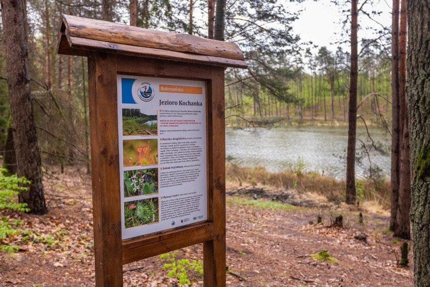 Tak wygląda Brodnicki Park Krajobrazowy. Zobaczcie te zdjęcia i koniecznie odwiedźcie