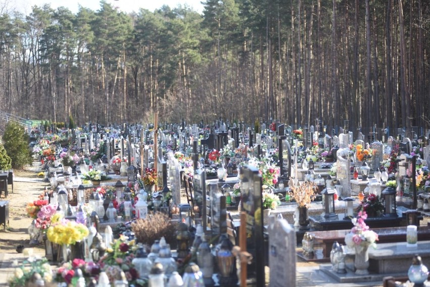 Jakie koszty ponosimy na cmentarzu - kwiaty, znicze, dekoracje grobów  to nie wszystko