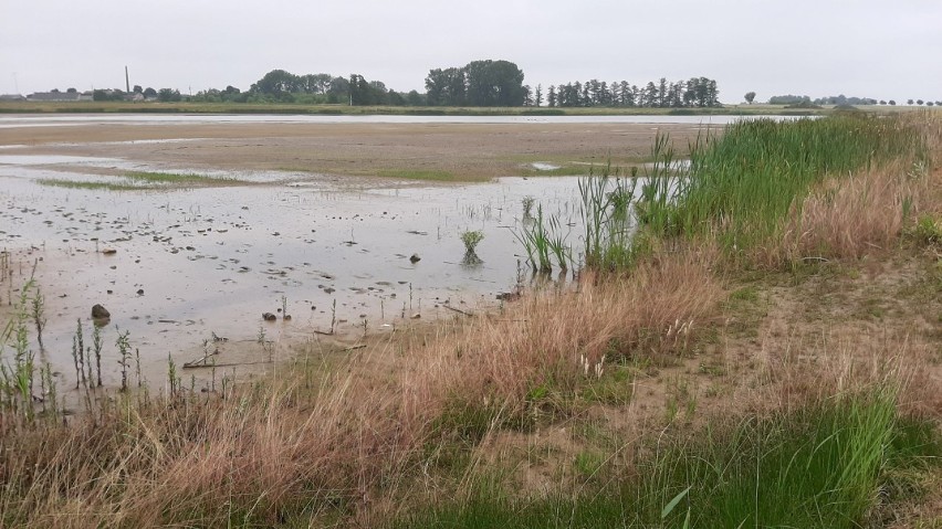 Na zdjęciach: zalew Rydzyna, j. Niedzięgiel i kanał Obry