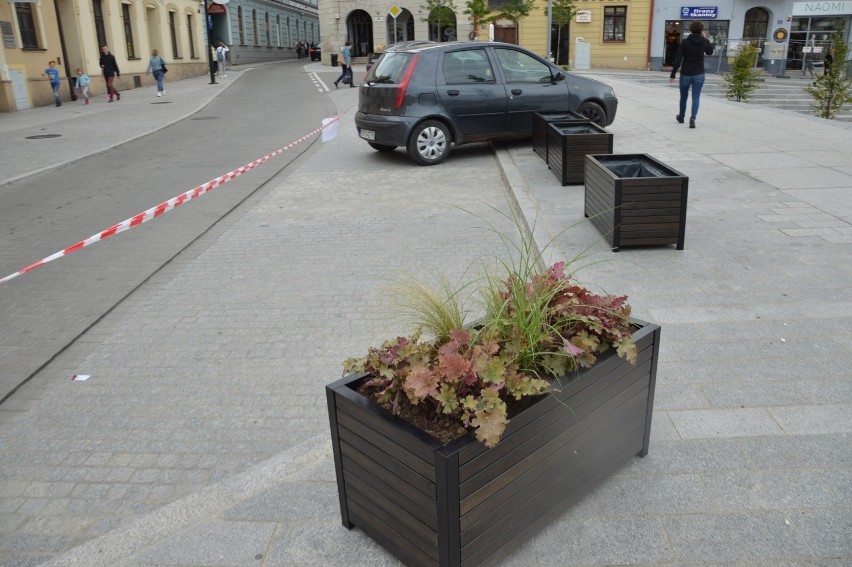 Nowe kwietniki wzdłuż odnowionych ulic i oryginalny...