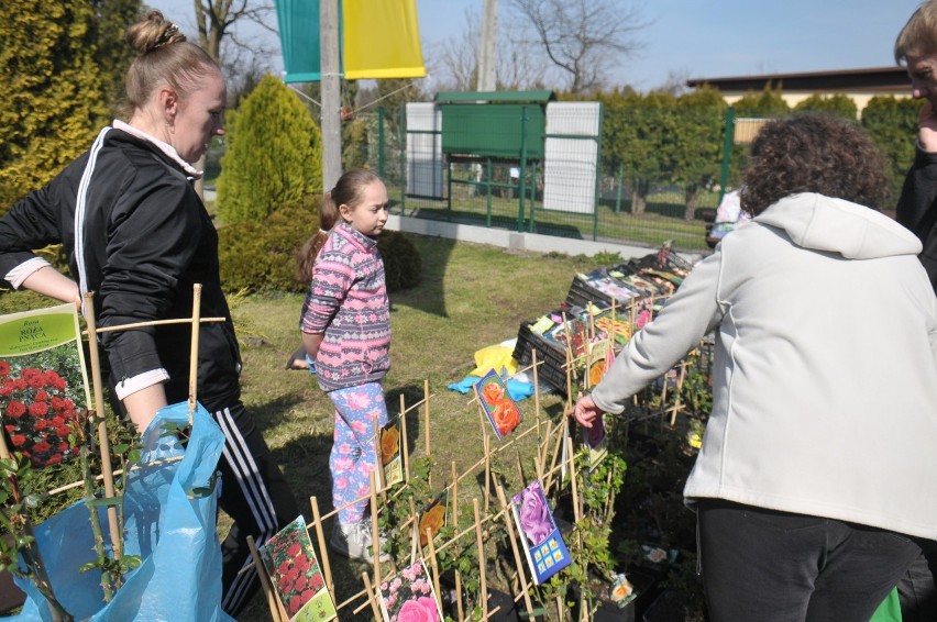 Kraków. Działkowcy zorganizowali kiermasz roślin i produktów