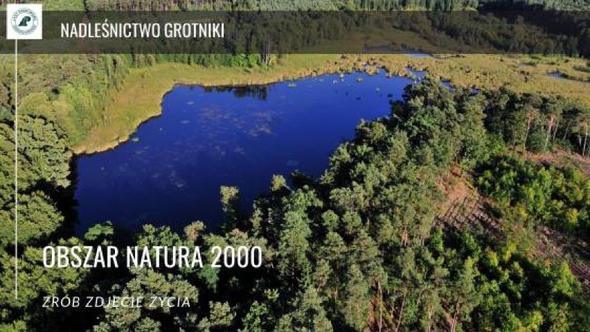 Konkurs Dziennika Łódzkiego "Pomóżmy sprzątać lasy, poznajmy ich przyrodę”