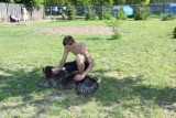 Kraków: niezwykła terapia! Młodzi przestępcy opiekują się bezdomnymi zwierzętami w schronisku