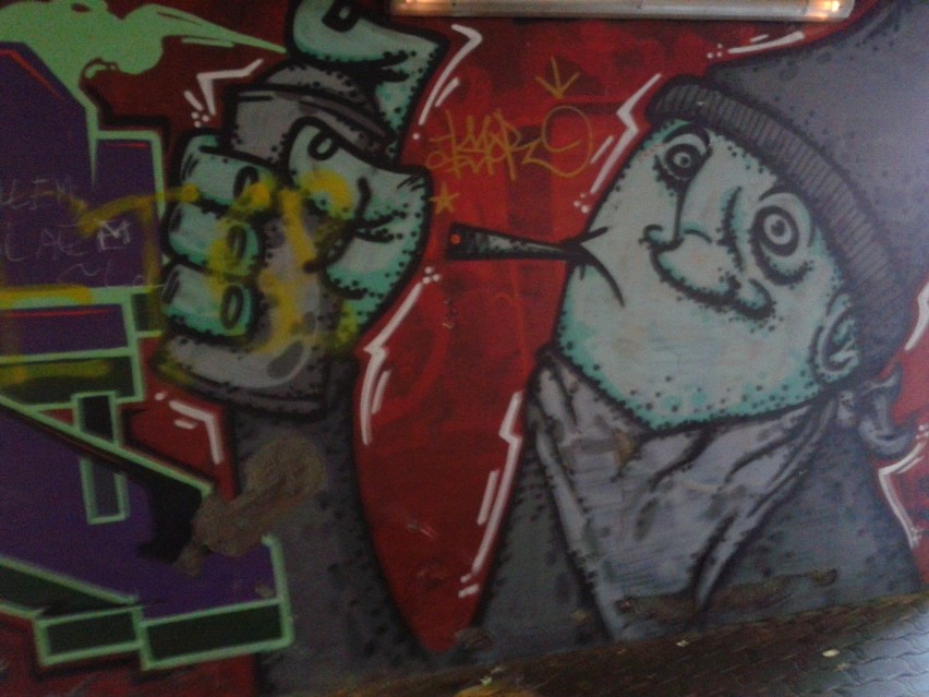 Jak Wam się podoba malowane graffiti w Toruniu w rożnych okolicach miasta?