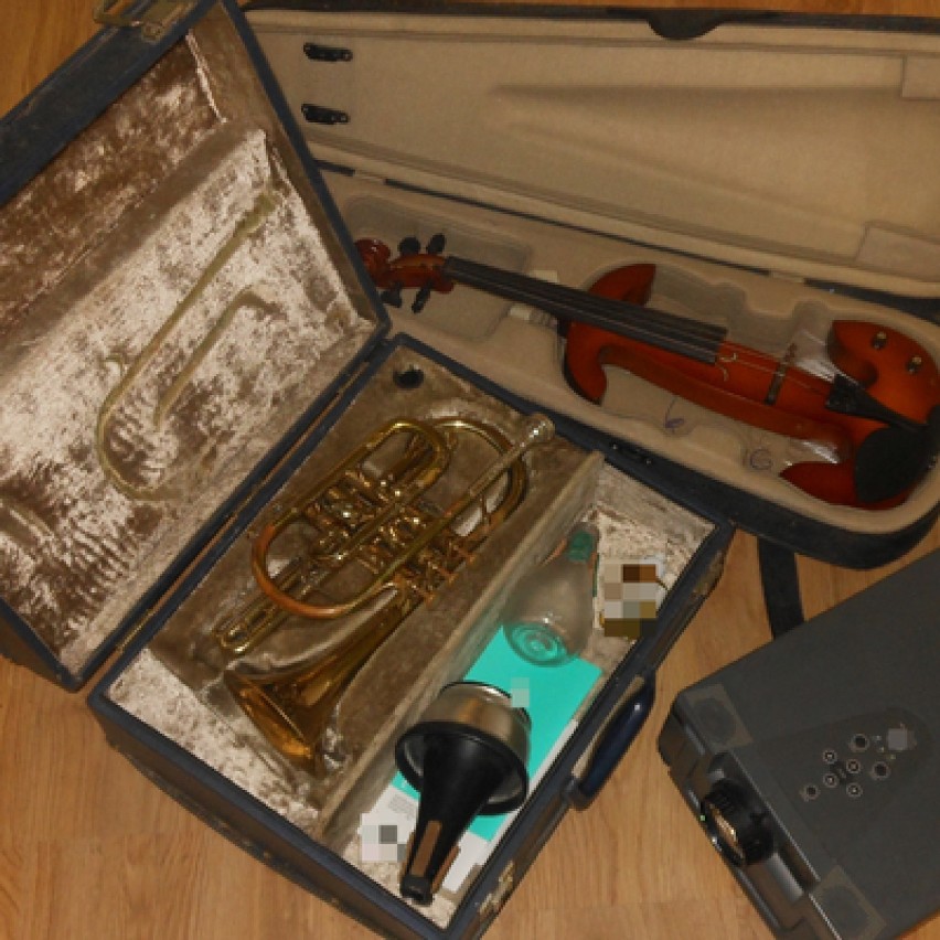 Zatrzymali złodzieja instrumentów muzycznych, które skradł z zabytkowego pałacu