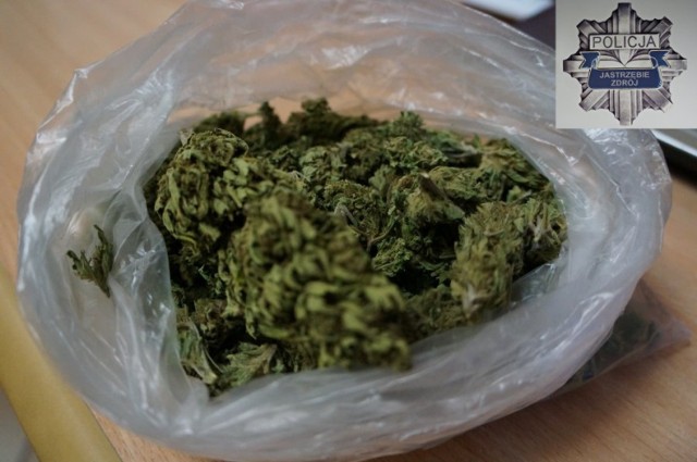 Narkotyki Jastrzębie: kierowca ukrył marihuanę za paskiem spodni.