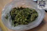 Narkotyki Jastrzębie: kierowca ukrył marihuanę za paskiem spodni