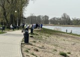 Spacerowicze, rowerzyści, rolkarze i biegacze korzystają z pięknej pogody w okolicach zalewu na radomskich Borkach