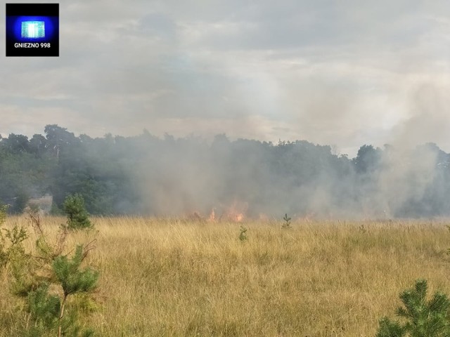 Dwa pożary na terenie Gniezna