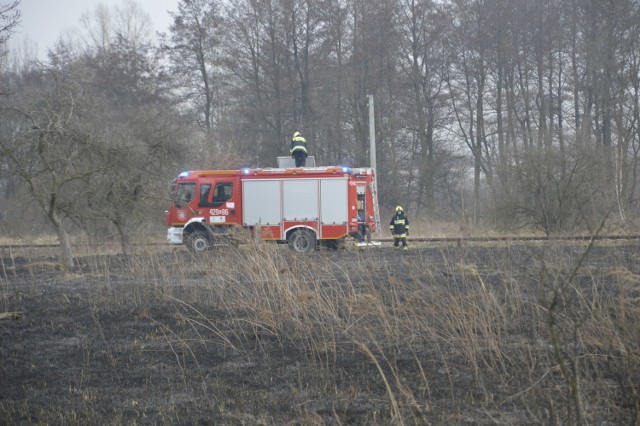 Pożar miał miejsce niedaleko zagajnika w którym mieści się zabytkowe mauzoleum. Więcej o mauzoleum PRZECZYTASZ TUTAJ