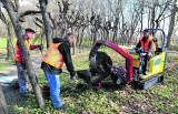 Tunel znajdujący się w Parku Grodowym bardziej atrakcyjny