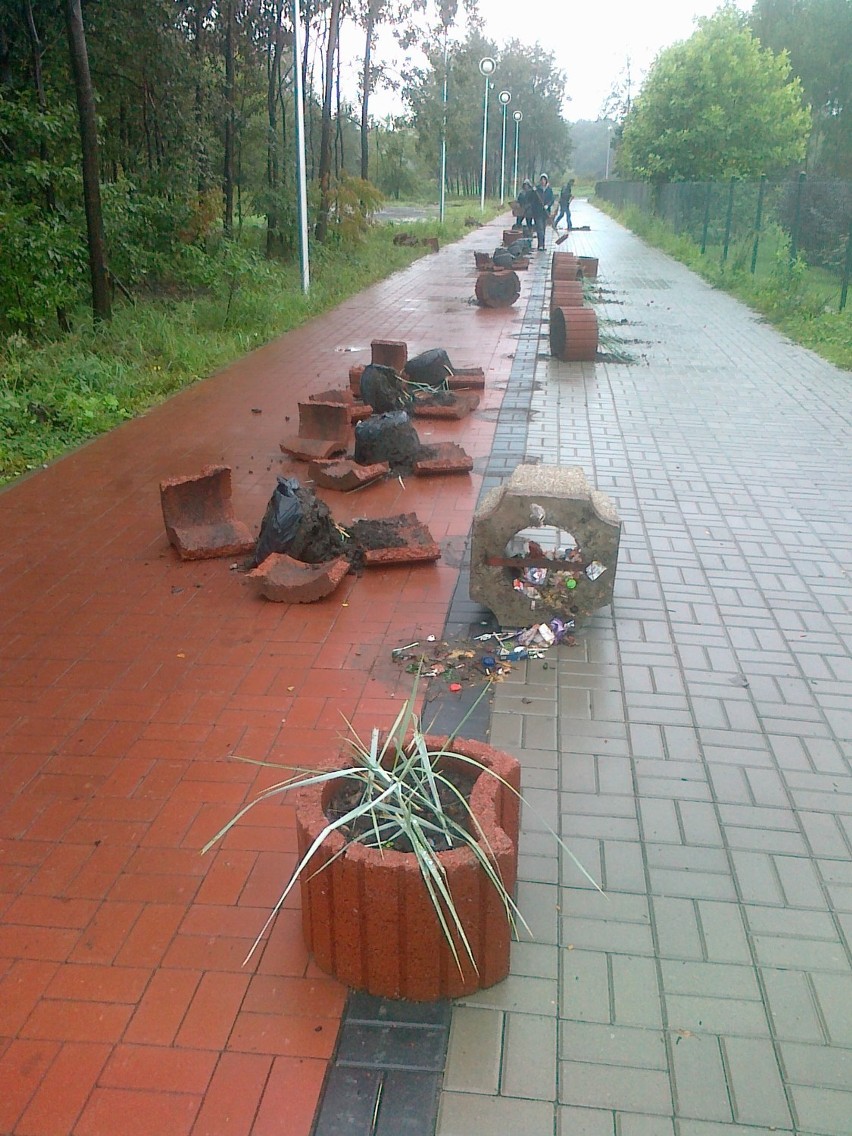 Dąbrowa Górnicza: Wandale nad Pogorią III. Zniszczone donice