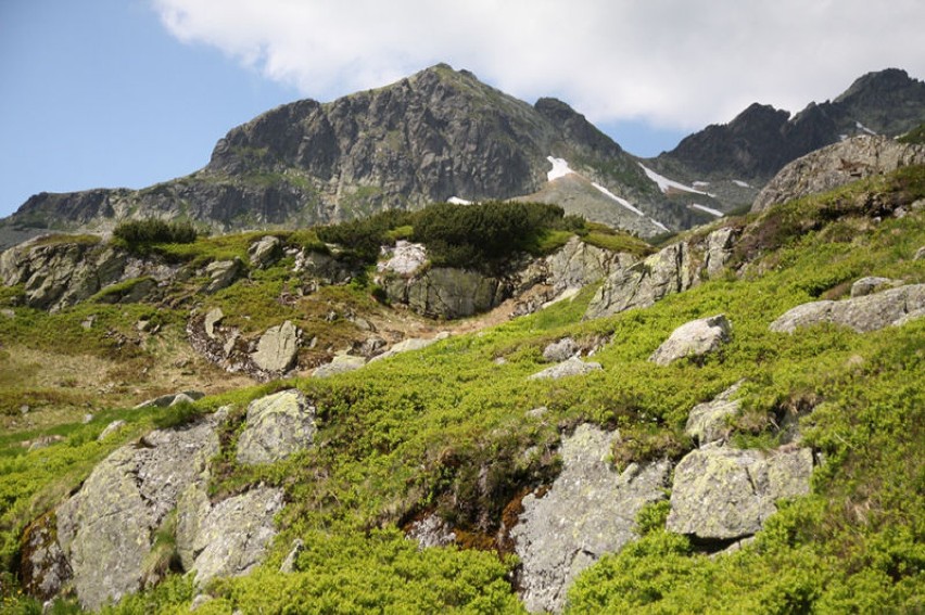 Widok na Świnicę (2301 m n.p.m.) , która góruje nad doliną....