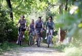Szlaki rowerowe w Dąbrowie Górniczej - zaplanuj swój aktywny weekend