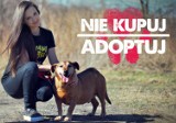 "Nie kupuj-adoptuj". Blogerki modowe pomagają zwierzakom