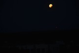 Zaćmienie Księżyca w Golubiu-Dobrzyniu [zdjęcia czytelniczki]