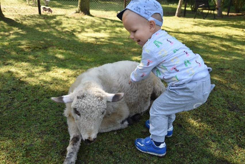 Zajrzyj z nami do Zagrody Trzy Siostry w Rybniku.