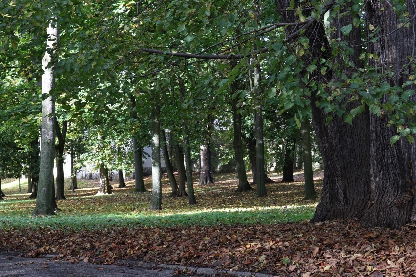 Piękna jesień w kieleckim parku. To idealne miejsce do spacerów. Zobacz zdjęcia