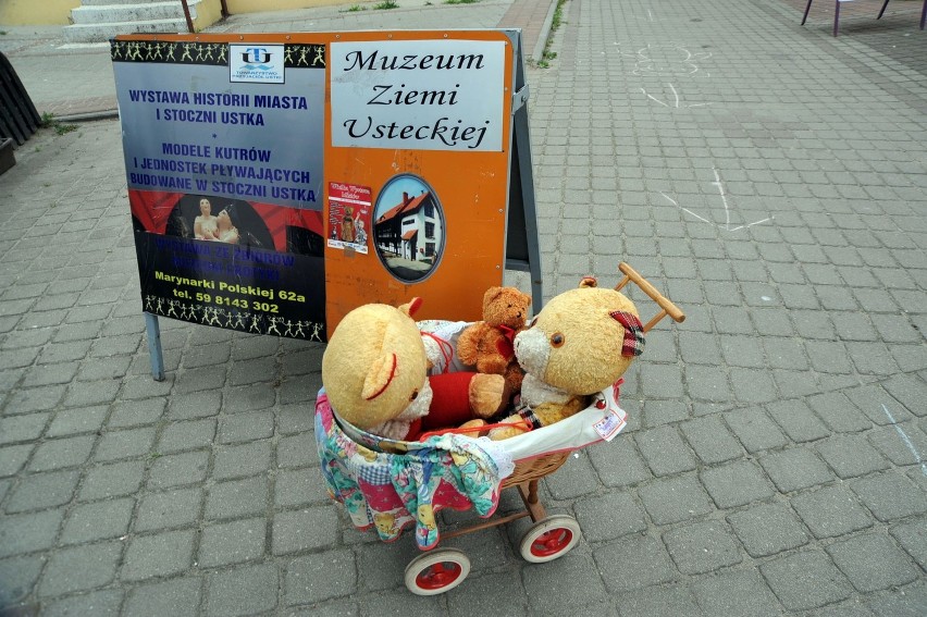 Muzeum Ziemi Usteckiej: Wielka Wystawa Misiów [ZDJĘCIA]