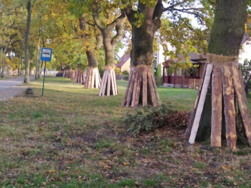 Przebudowa ul. 1 Maja w Karsiborze już się rozpoczęła....