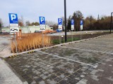 Nowy parking przy ul. Reymonta w Radomsku otwarty. Można parkować. ZDJĘCIA