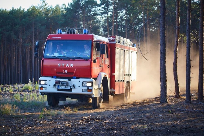 Nagrody po 5000 złotych zniechęcą podpalaczy? Płoną lasy w rejonie Miedzichowa oraz Puszcza Notecka